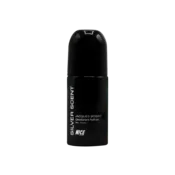 مام رول ضد تعریق مردانه نایس پاپت مدل Silver Scent حجم 60 میلی لیتر